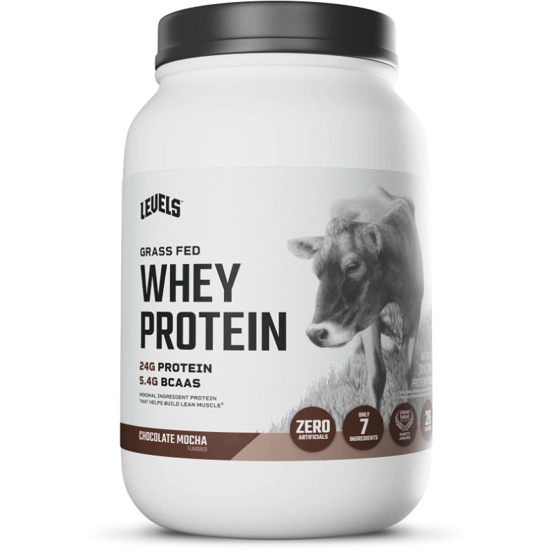 Whey Protein, Chocolate Mocha